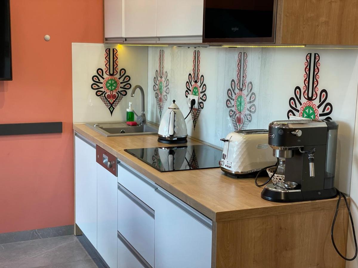 Apartamenty & Spa Stara Polana زاكوباني المظهر الخارجي الصورة